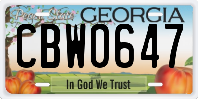 GA license plate CBW0647