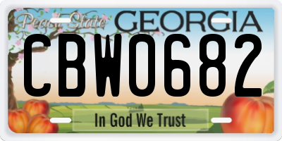 GA license plate CBW0682