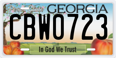 GA license plate CBW0723