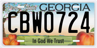 GA license plate CBW0724