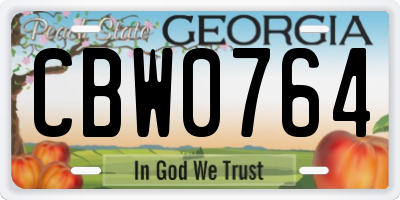 GA license plate CBW0764