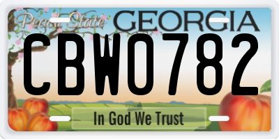 GA license plate CBW0782