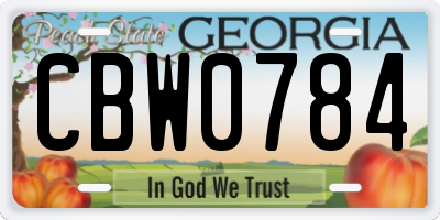 GA license plate CBW0784