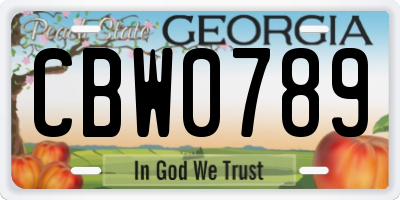 GA license plate CBW0789