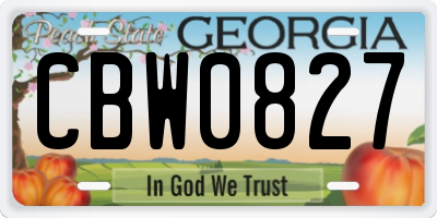 GA license plate CBW0827