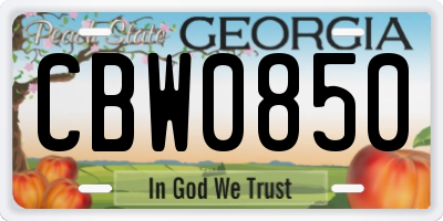 GA license plate CBW0850