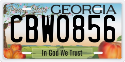 GA license plate CBW0856