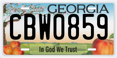GA license plate CBW0859