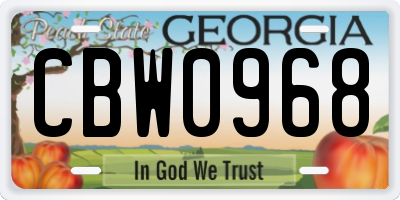 GA license plate CBW0968