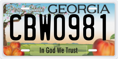 GA license plate CBW0981