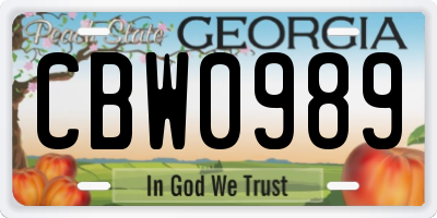 GA license plate CBW0989