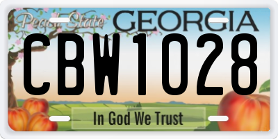 GA license plate CBW1028