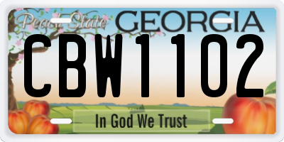 GA license plate CBW1102
