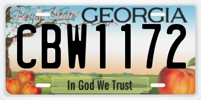 GA license plate CBW1172