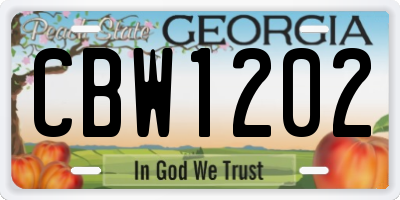 GA license plate CBW1202