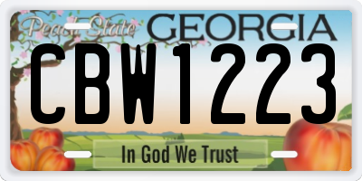 GA license plate CBW1223