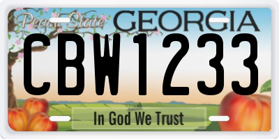 GA license plate CBW1233