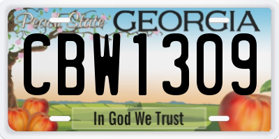 GA license plate CBW1309