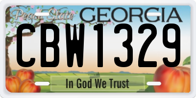 GA license plate CBW1329