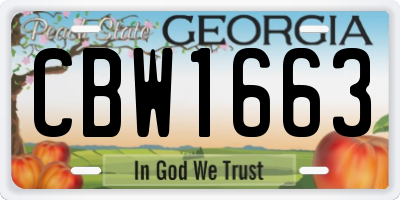 GA license plate CBW1663