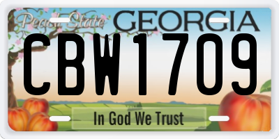 GA license plate CBW1709