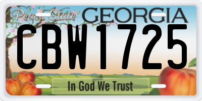 GA license plate CBW1725