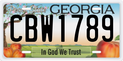 GA license plate CBW1789