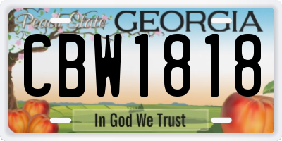 GA license plate CBW1818