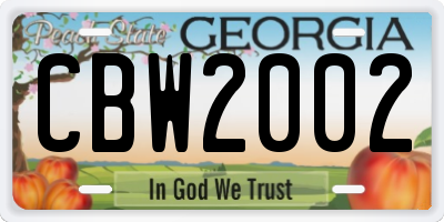 GA license plate CBW2002