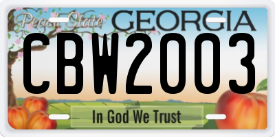 GA license plate CBW2003