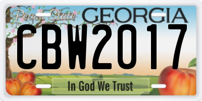 GA license plate CBW2017