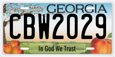 GA license plate CBW2029