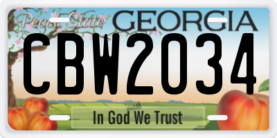 GA license plate CBW2034