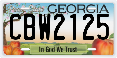 GA license plate CBW2125