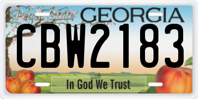 GA license plate CBW2183