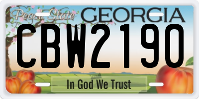 GA license plate CBW2190