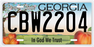 GA license plate CBW2204