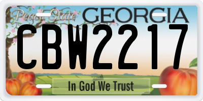 GA license plate CBW2217