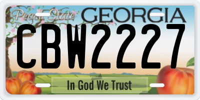 GA license plate CBW2227