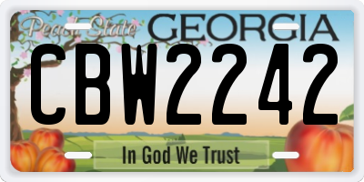 GA license plate CBW2242