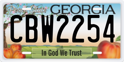 GA license plate CBW2254