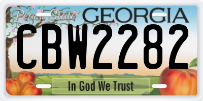 GA license plate CBW2282