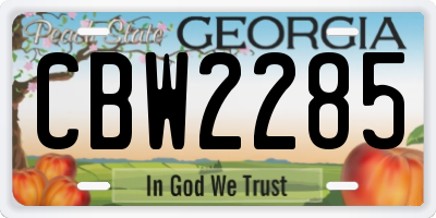 GA license plate CBW2285
