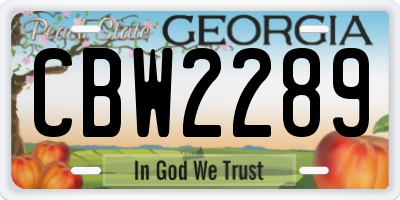 GA license plate CBW2289