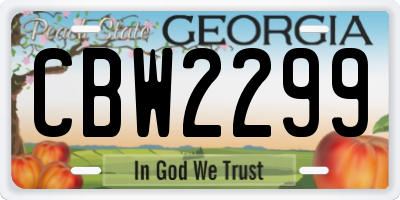 GA license plate CBW2299