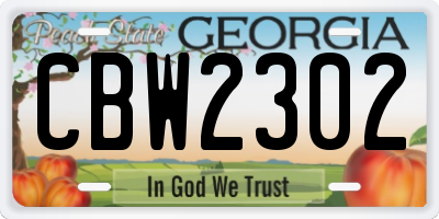 GA license plate CBW2302