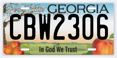 GA license plate CBW2306
