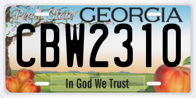 GA license plate CBW2310