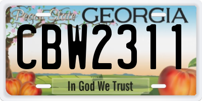 GA license plate CBW2311