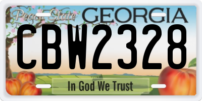 GA license plate CBW2328